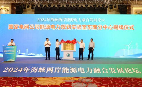 共建新型电力系统 新材料技术推广推动能源转型发展